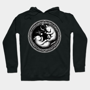 Monochromatic Black And White Sleeping Kitten Hoodie